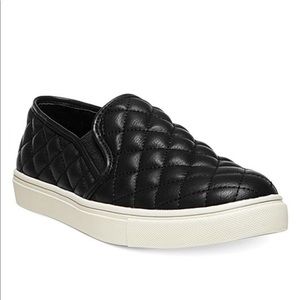Steve Madden Ecentric-Q Platform Sneakers 👟